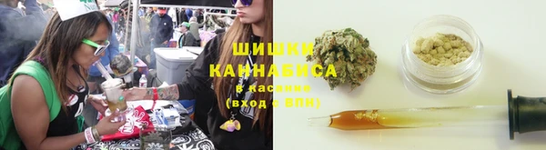 трава Алзамай