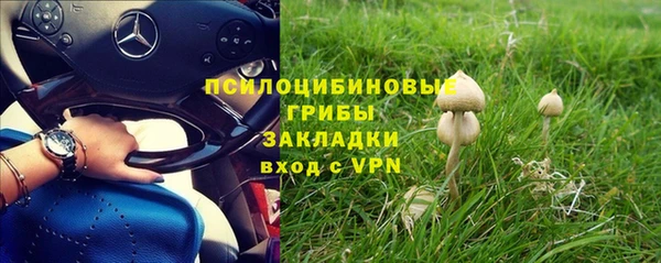 а пвп мука Алексеевка