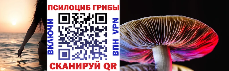 Псилоцибиновые грибы Psilocybe  Пласт 